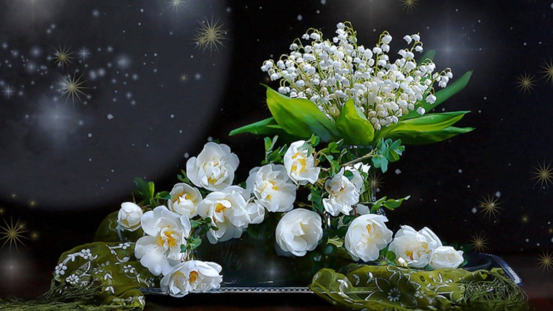 Best Outdoor Plants for Dubai Offer Evergreen  Impressions