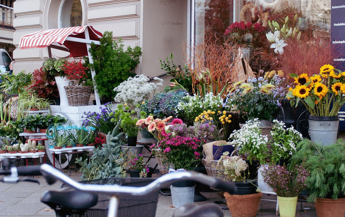 How to Start a Flower Shop Online