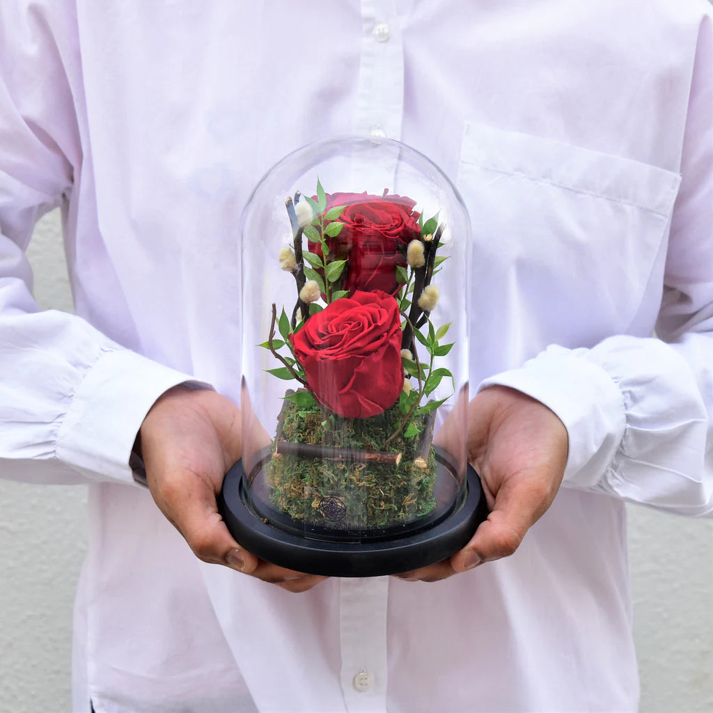 You & Me - Forever Rose