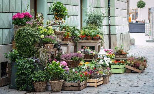 Flower Shop In Mussafah, UAE