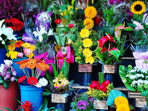 Flower Shop in al Quoz Dubai