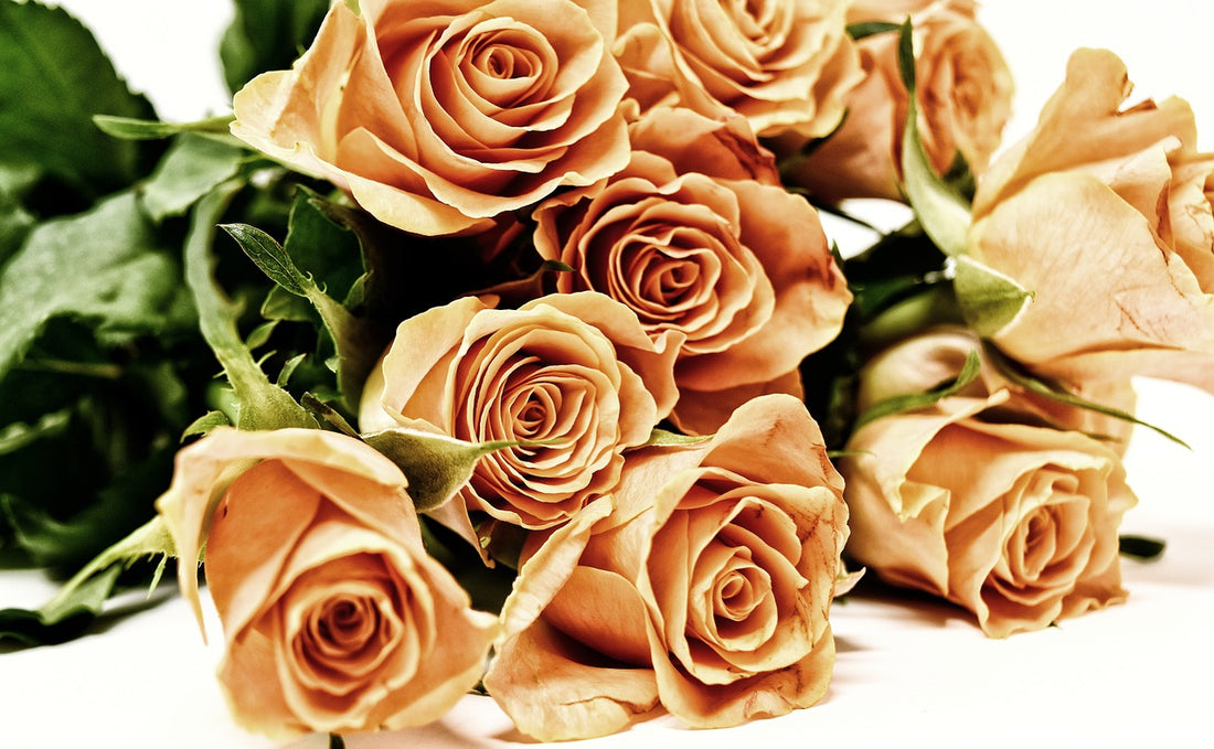 Dozen Roses Bouquet Dubai