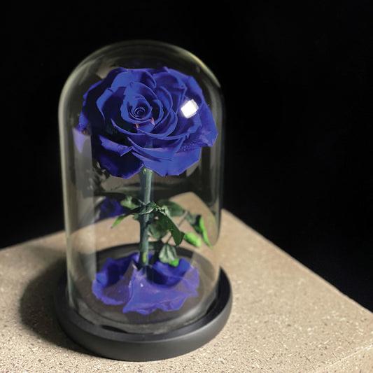 Blue Single Infinity Rose