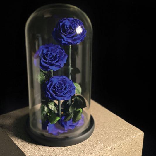 Blue Trio Infinity Rose