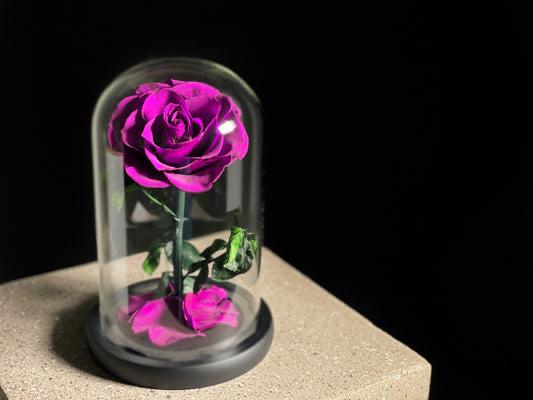 Purple Single Infinity Rose