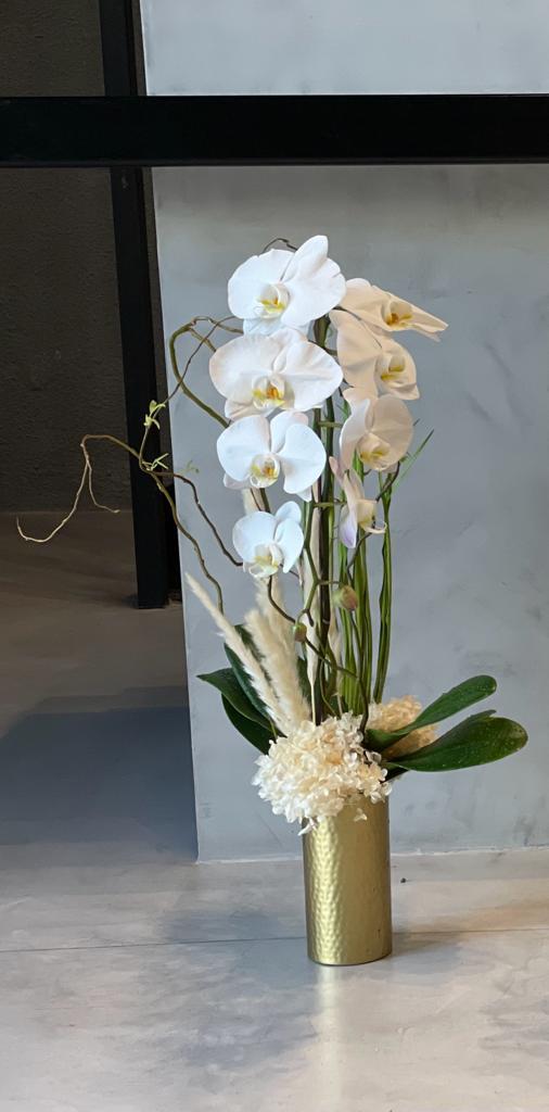 Orchid N Vase