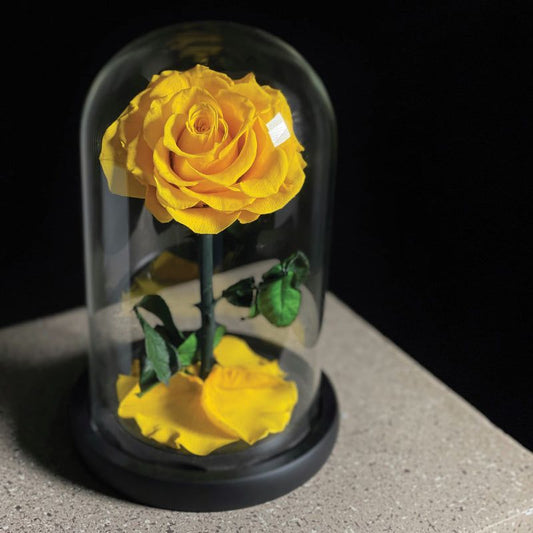 Yellow Single Infinity Rose